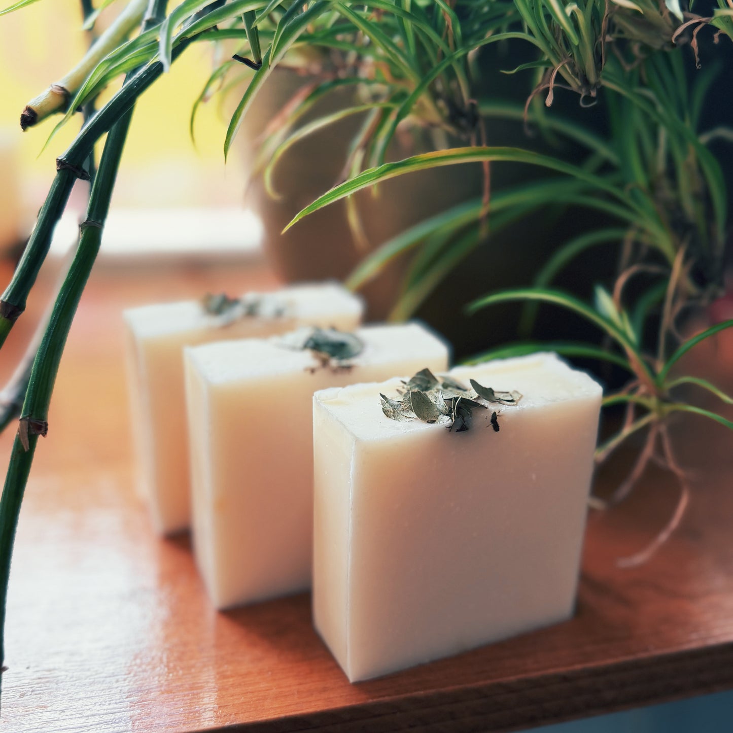 Peppermint & Eucalyptus Tallow Soap Bar