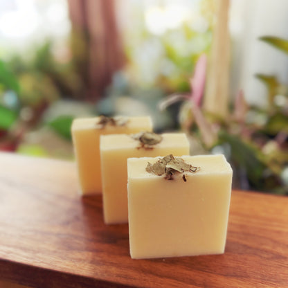 Peppermint & Eucalyptus Tallow Soap Bar