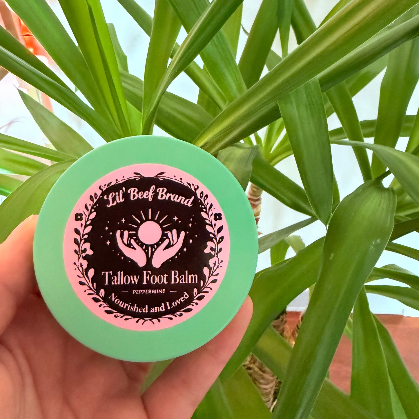 The Peppermint Tallow Foot Balm