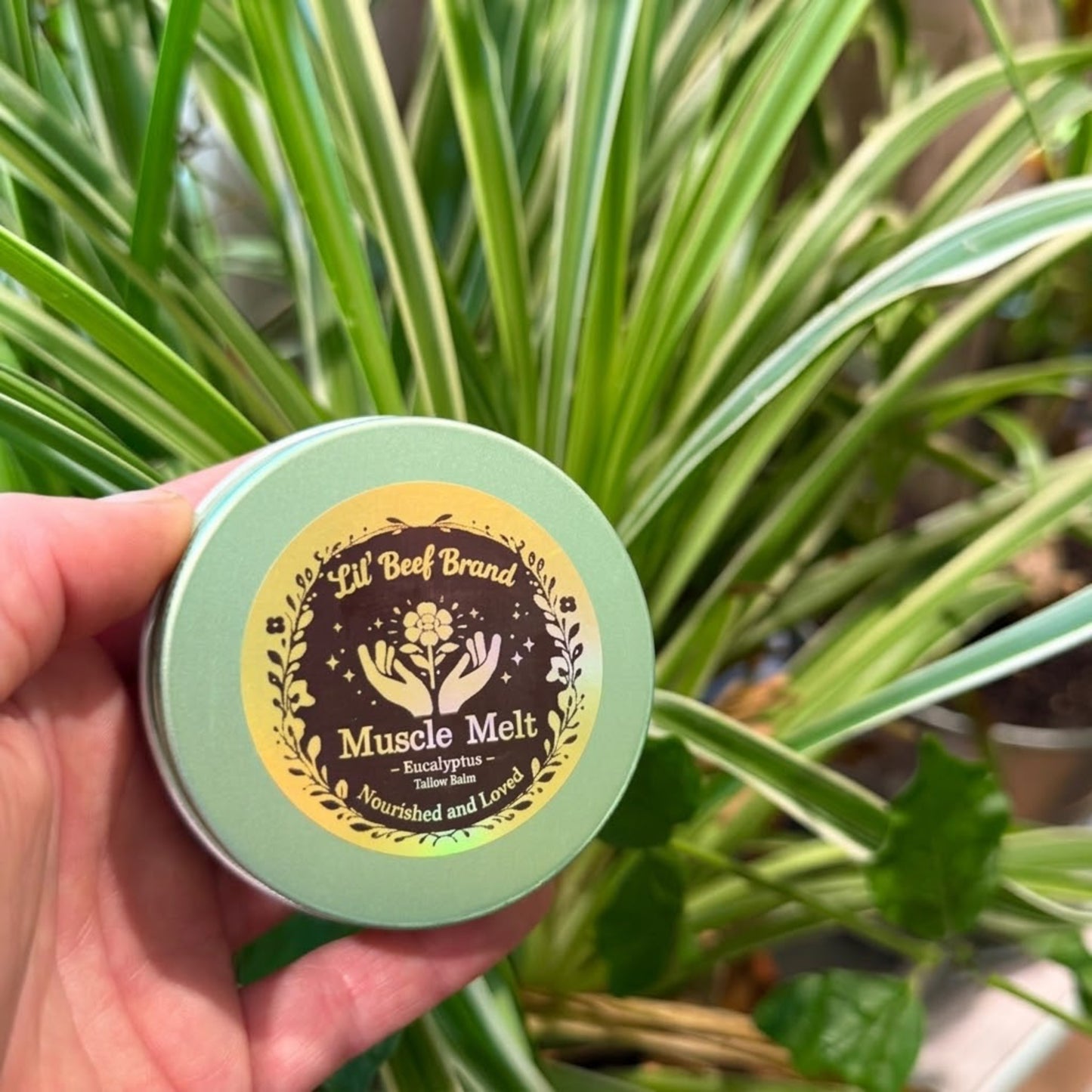 Muscle Melt Eucalyptus Tallow Balm