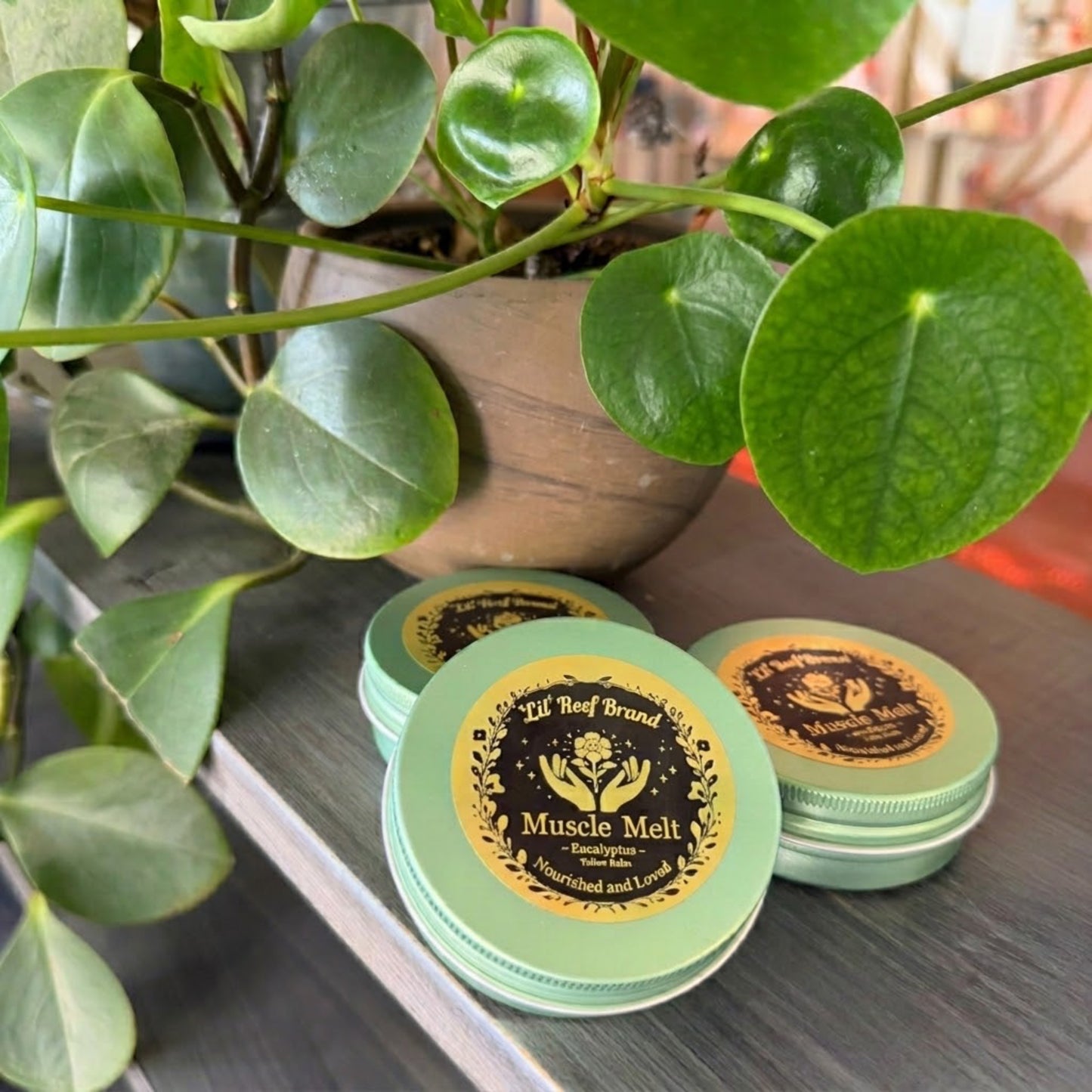 Muscle Melt Eucalyptus Tallow Balm