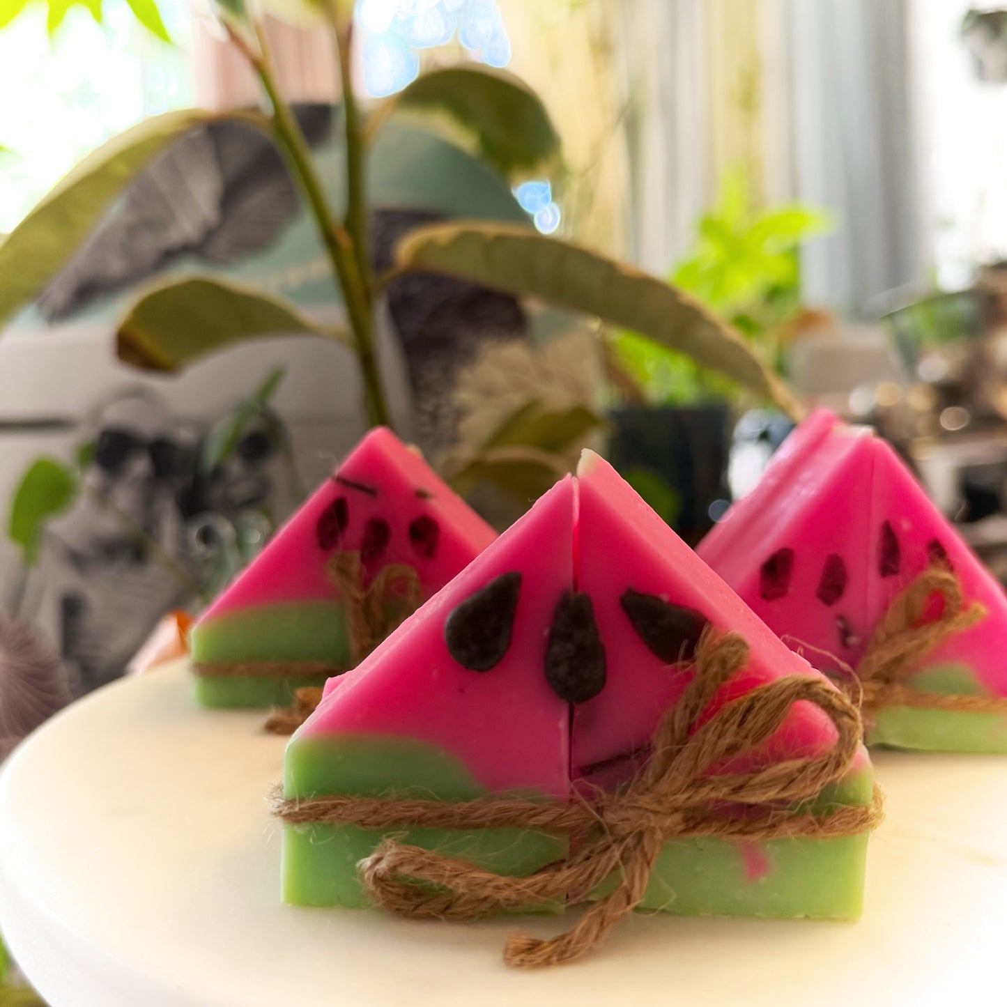 Watermelon Tallow Soap Bar